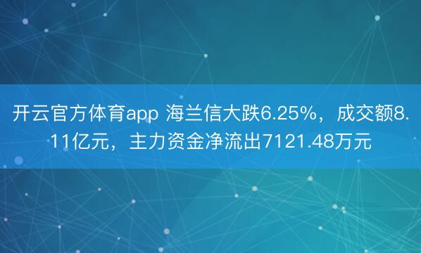 开云官方体育app 海兰信大跌6.25%，成交额8.11亿元，主力资金净流出7121.48万元