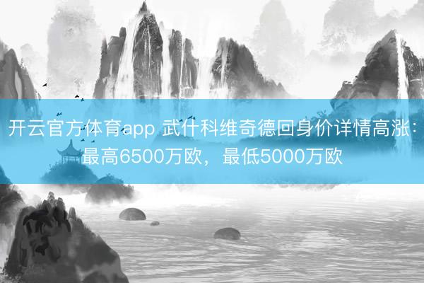 开云官方体育app 武什科维奇德回身价详情高涨：最高6500万欧，最低5000万欧