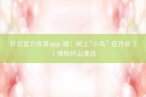 开云官方体育app 嘘！树上“小鸟” 在开会 ？丨博物坪山漫话