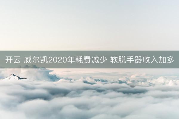 开云 威尔凯2020年耗费减少 软脱手器收入加多