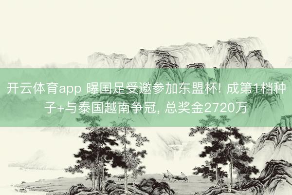 开云体育app 曝国足受邀参加东盟杯! 成第1档种子+与泰国越南争冠， 总奖金2720万